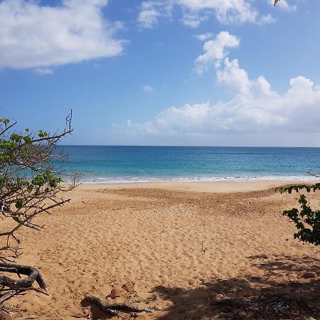 L'Aurielle, Tout Le Confort A 500M De La Plage Sainte-Rose Εξωτερικό φωτογραφία