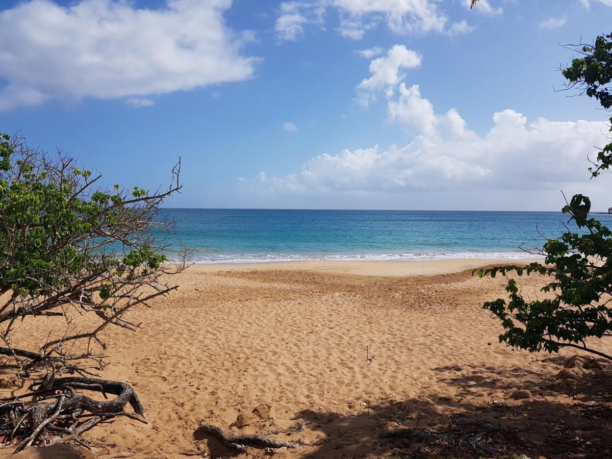 L'Aurielle, Tout Le Confort A 500M De La Plage Sainte-Rose Εξωτερικό φωτογραφία